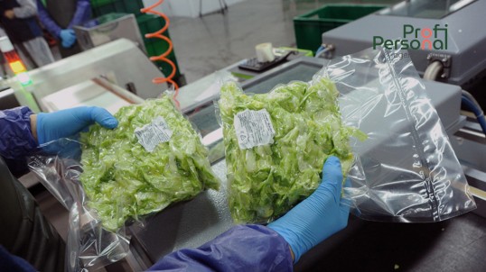 Lettuce processing for men and women up to 60 years old near Warsaw!