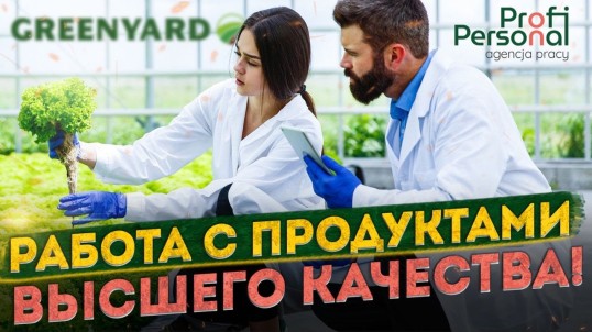  Сборка заказов на овощном складе
