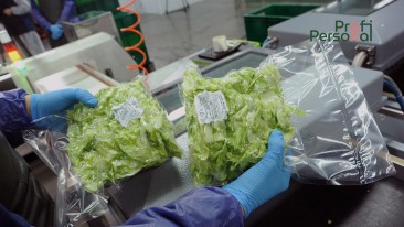 Lettuce processing for men and women up to 60 years old near Warsaw!